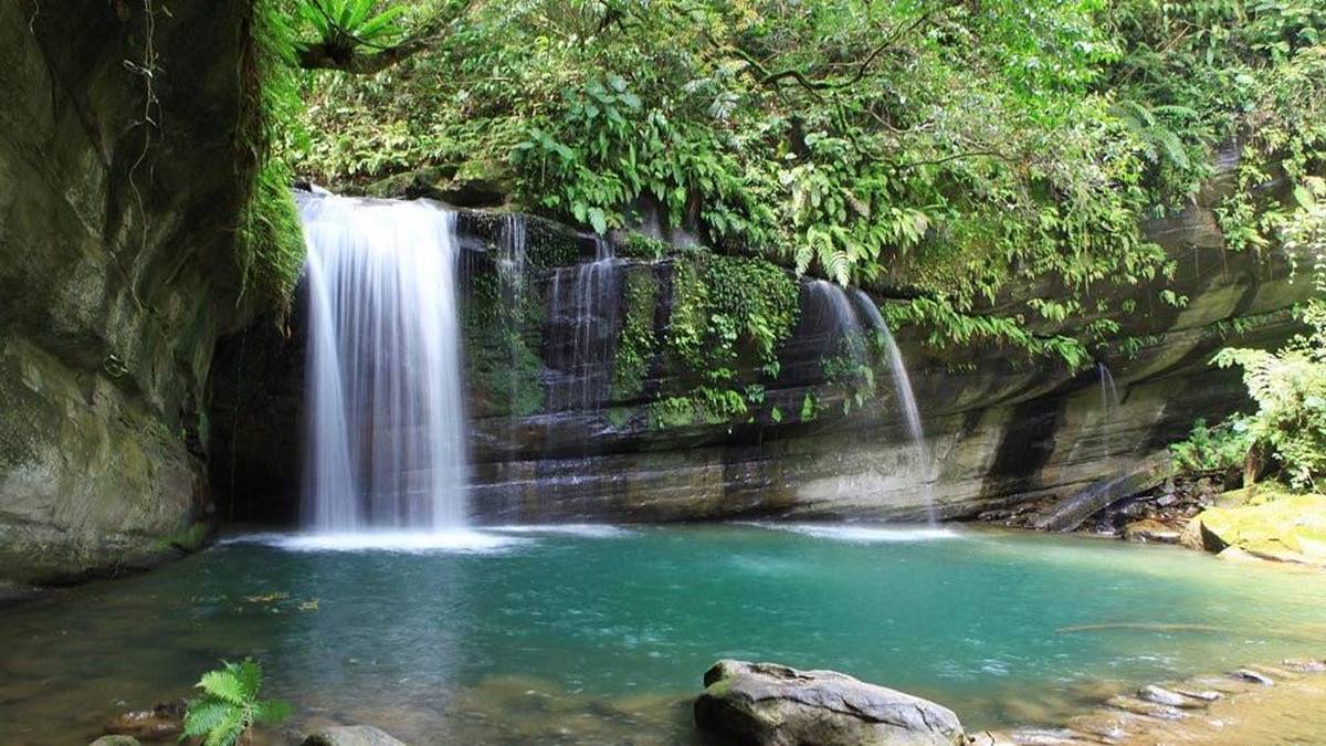 最快５分鐘輕鬆攻頂！新北９條懶人步道：台版「奧入瀨溪流」、絕美陰陽海