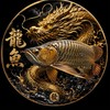雲林 勝利水族（龍 淡化魚 觀賞魚）