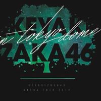 櫻坂46/欅坂46愛好会