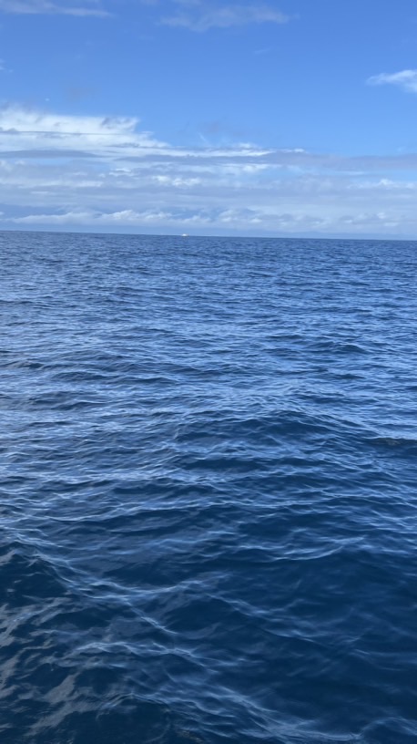 裕翔地瓜球-宜蘭礁溪