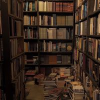 Chaotic reading club