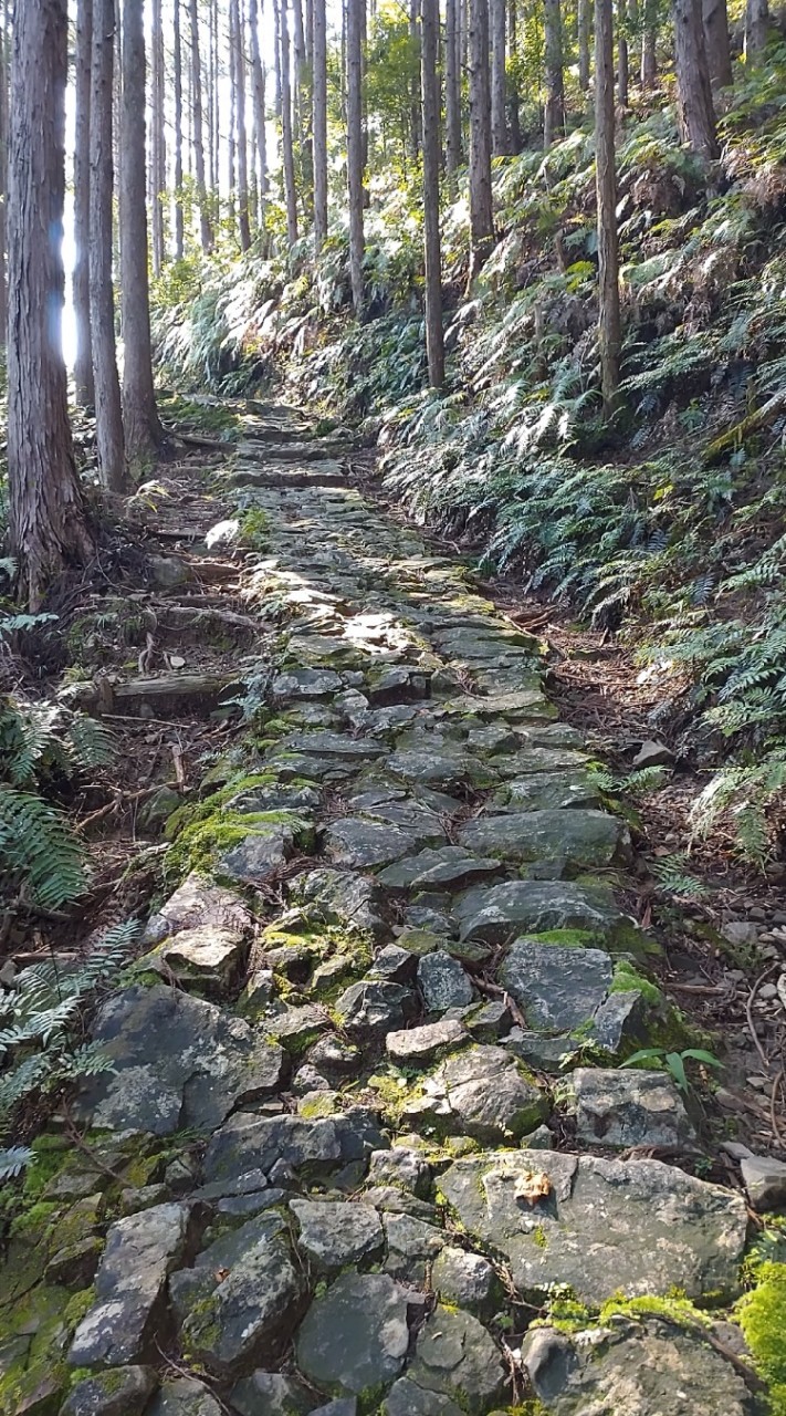 熊野古道ファンの部屋✨