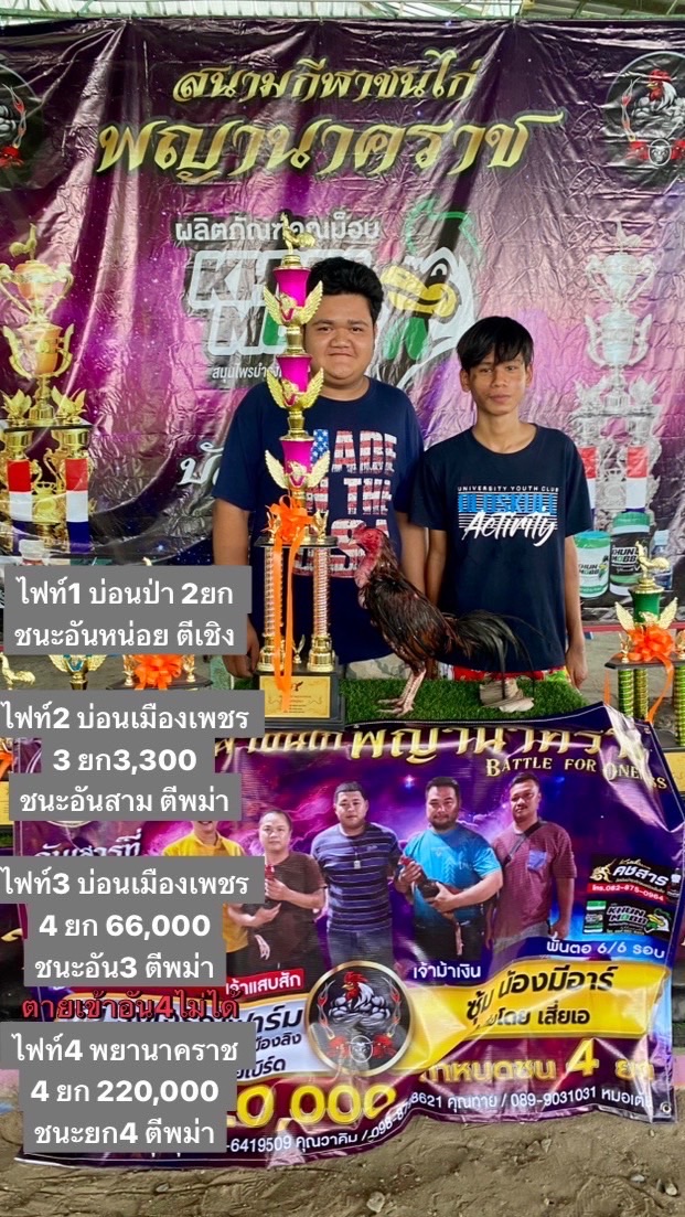 แข้งหน้าท่าแดง อำเภอหนองไผ่ ลิขิตไก่ชนฟาร์ม
