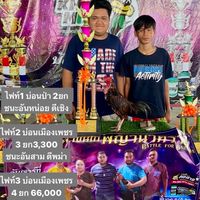 แข้งหน้าท่าแดง อำเภอหนองไผ่ ลิขิตไก่ชนฟาร์ม