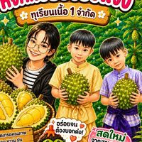 💎ทุเรียน หจก.เจียวจ๋องแจ๋ง💎