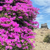 九州の登山仲間募集！