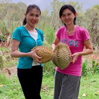 Homestay ที่พักเงินล้าน