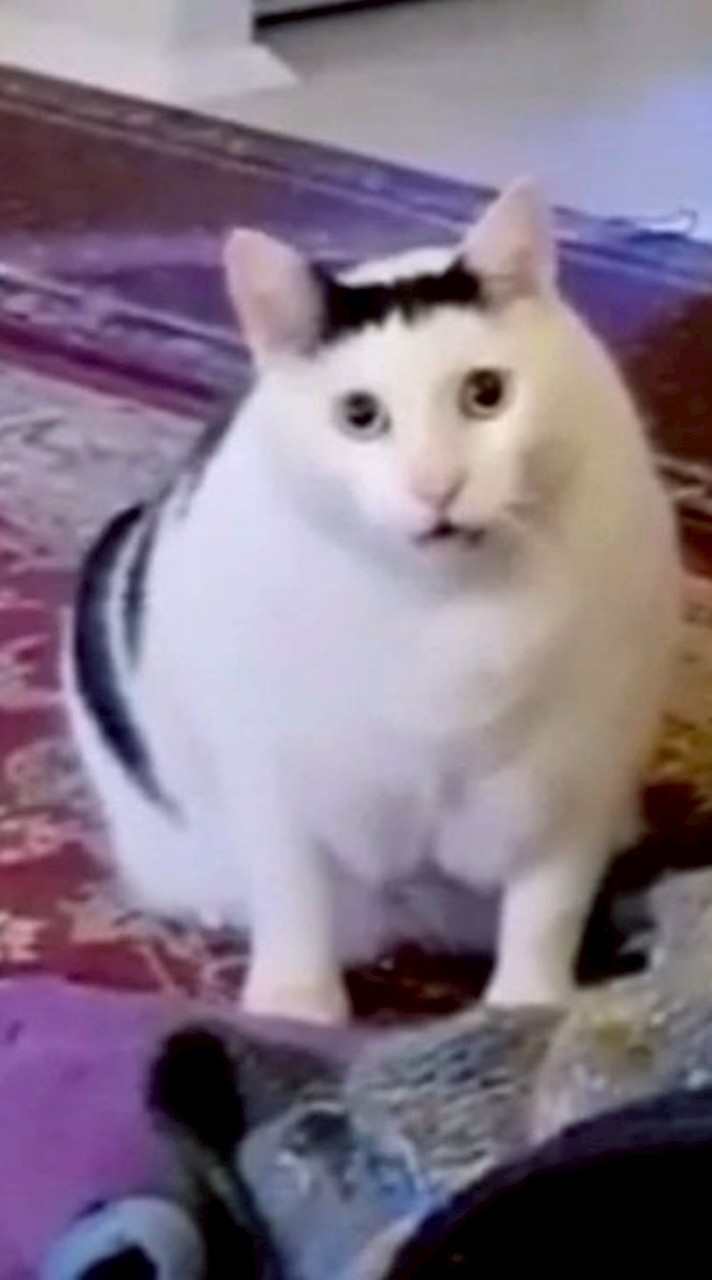 น้องวิทคณิตตามหาพี่นิติ