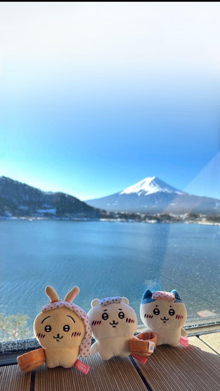 🥔11/15-18🥔小土豆代購(*°ω°*ฅ)*