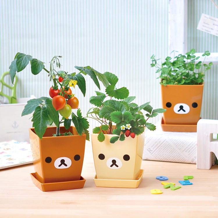 【日本正版授權Rilakkuma】花園植栽盆器/牛奶熊 (拉拉熊/懶懶熊/聯名/植物組合/盆器/卡通盆器)