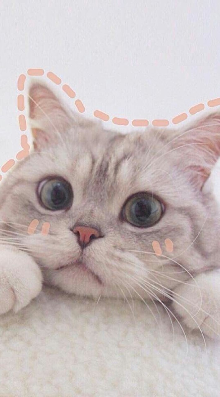 โรงเรียน cuteเข้าด้วยง่ะ