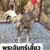 ซุ้ม ส.สกลใหม่ ใหม่ชลบุรี