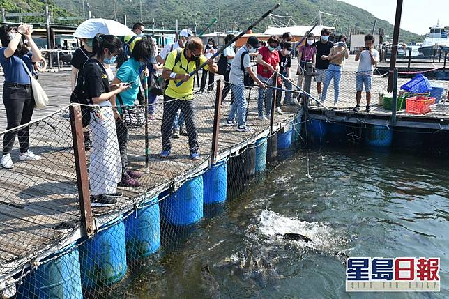 賞你遊 市民食海鮮遊南丫島漁民文化村料接待約30團 星島日報 Line Today