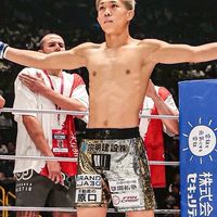 秋元強真の応援団