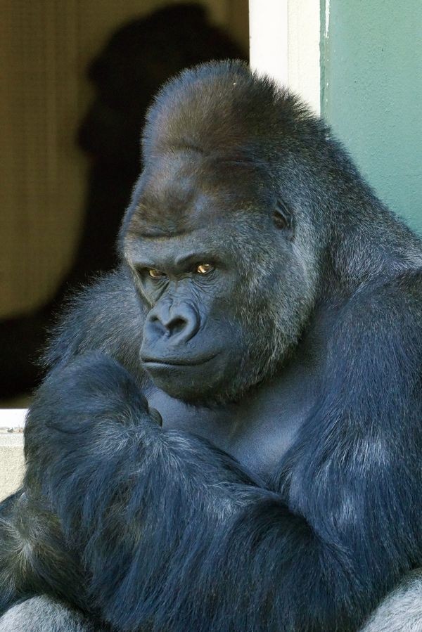 強くて優しくてカッコイイ そして育メン パーフェクトな夫がいた