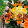老闆群🧧內壢成功路94巷餐車市集🧧