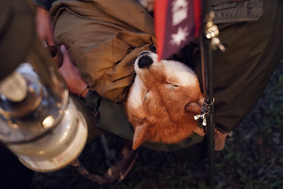 那山那谷 @jiasherry(3)