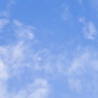 膠原病と向き合うみんなの声ノート🍀