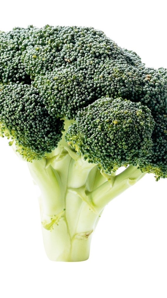 菜花教🍌🍌🍌🥦🥦🥦🥦🥦🥵🥵