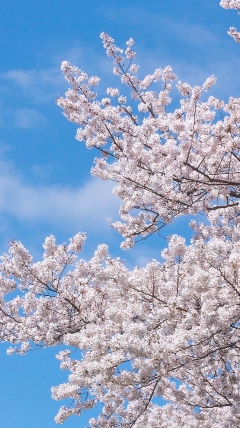 ☘️透析〜心の安らぎの場所〜🍀