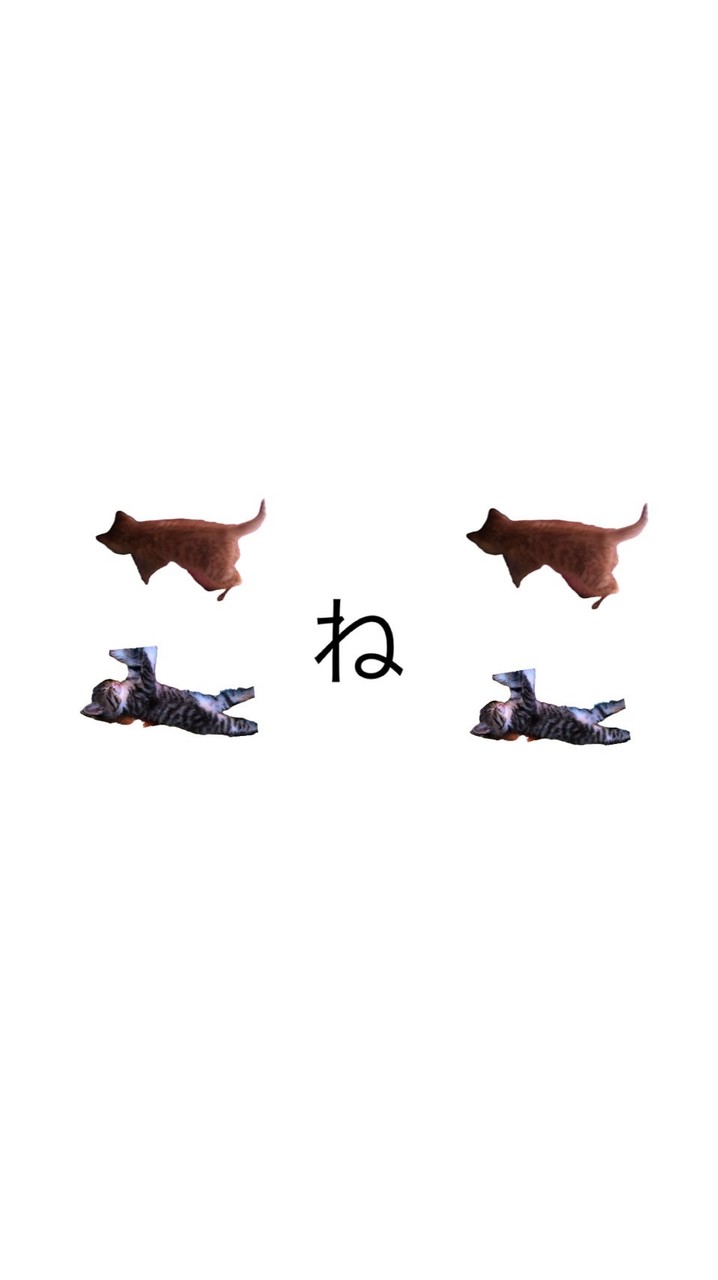 @子猫♡