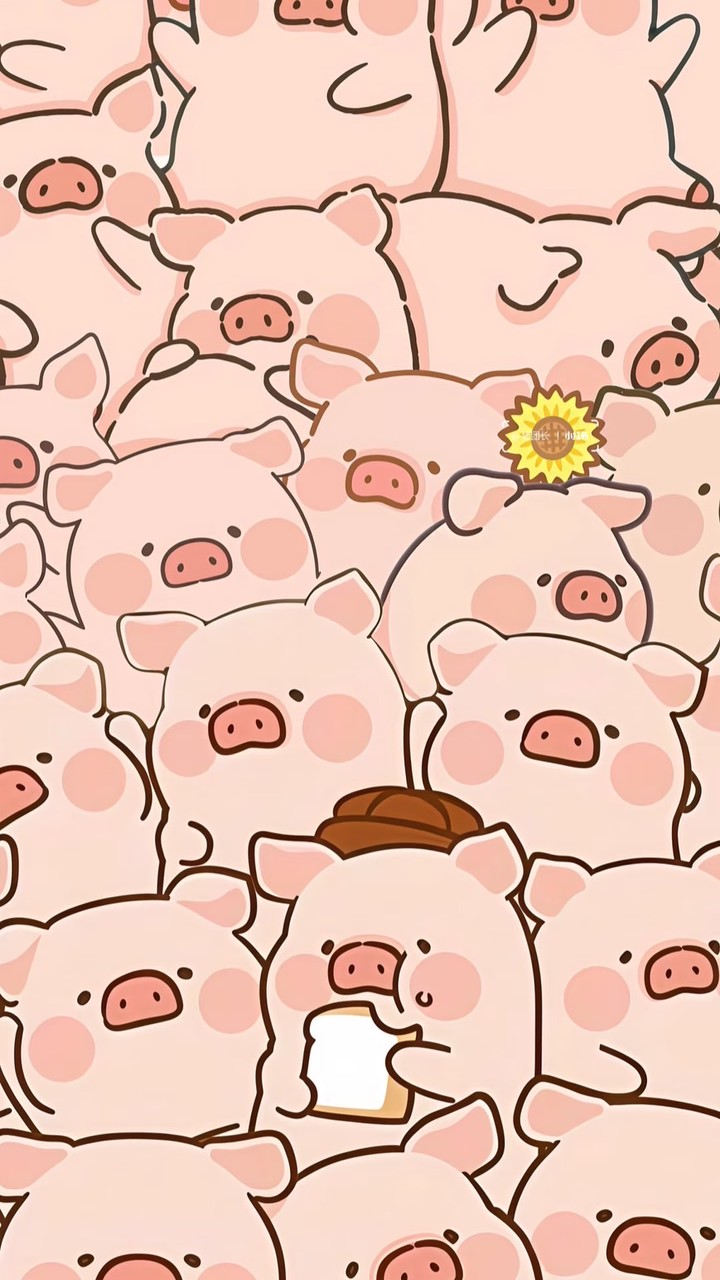 服飾｜雜貨 🎀🤍