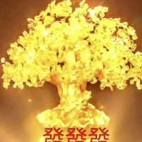 99天機預測平台理財