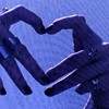 得意の技を見せてくれよ！ * 炉留必須全也