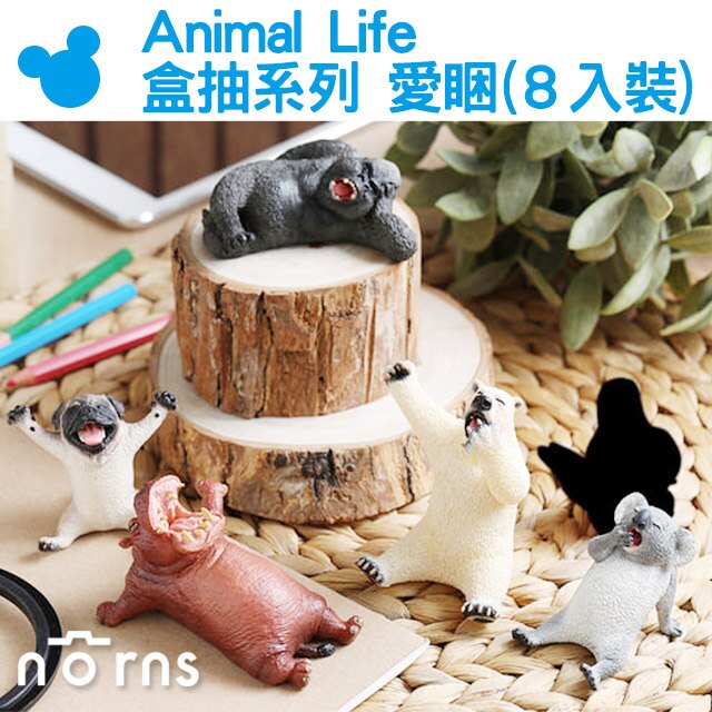 【Animal Life盒抽系列 愛睏(８入裝)】Norns 限量動物公仔盒玩 無尾熊北極熊河馬黑猩猩巴哥犬隱藏版 日本朝隈俊男