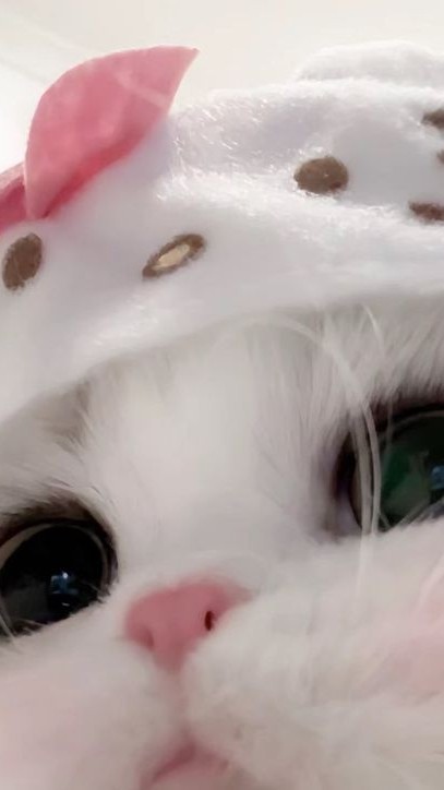 yhamajungXtos♡