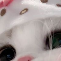 yhamajungXtos♡