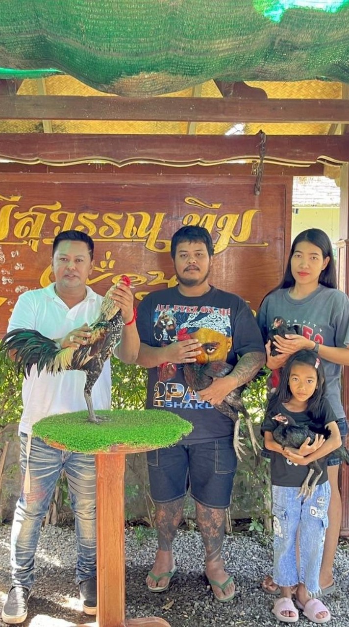ซุ้มไก่ชน ช.ณัฐณิชา จ.สิงห์บุรี