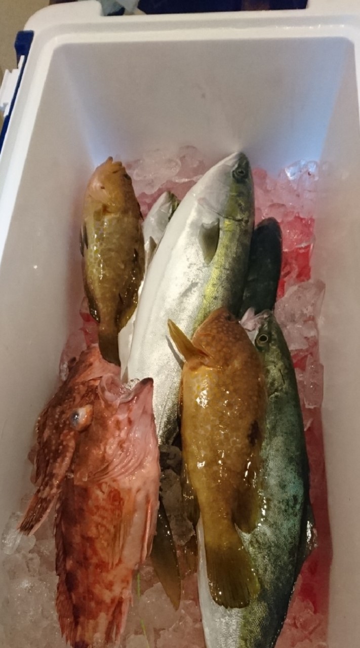 なんJ釣り部
