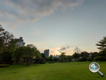 IMG20200314171802.jpg IMG20200314171802.jpg