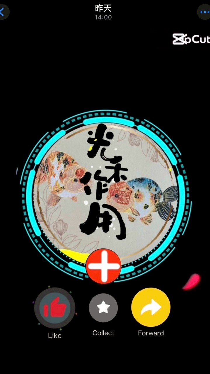 光禾作用｜精品金魚