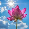 隨缘自在談心正信語錄愛好交流分享