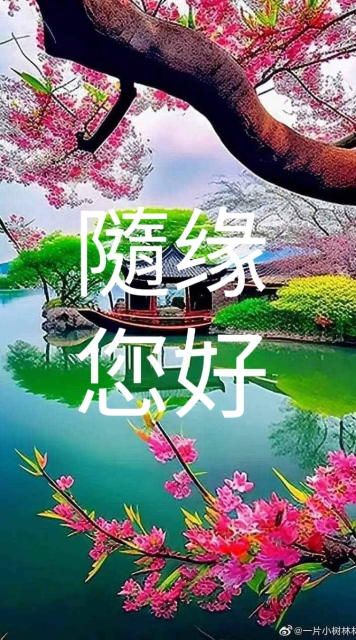 💞隨缘您好甘露影音愛好分享💞