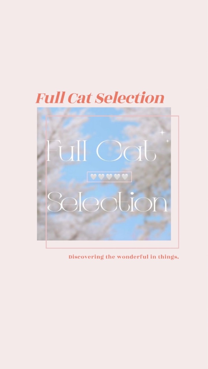 1月童鞋代購✈️ Full Cat Selection