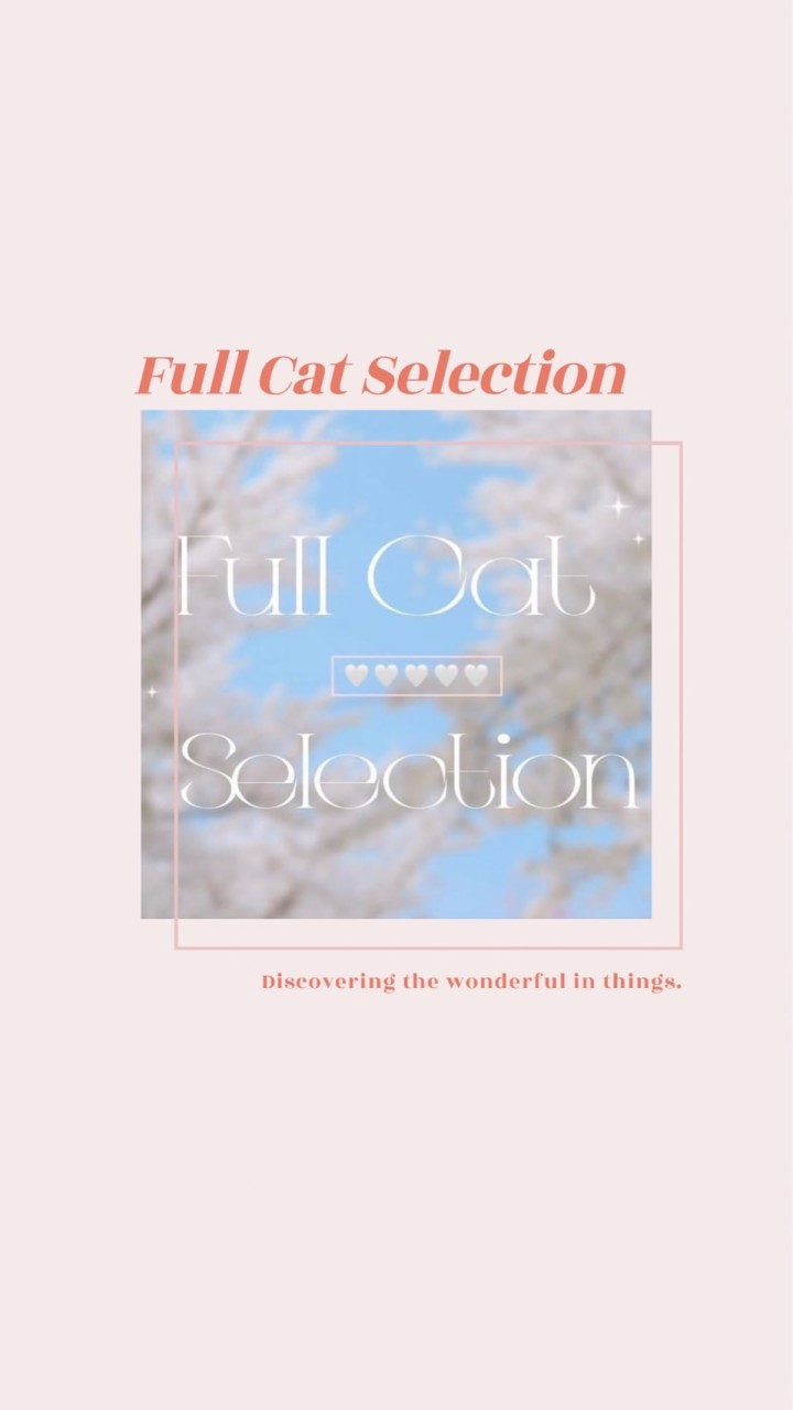 12/18麗嬰房代購✈️ Full Cat Selection