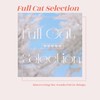 1月童鞋代購✈️ Full Cat Selection