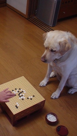 勉強犬🐶の部屋