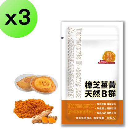 黃金樟芝-樟芝薑黃天然B群30粒/袋x3