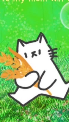 แมวแก่