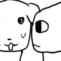 💢💢💢🇰🇷ドラ全緩💢💢💢〜〜 🇰🇷🗞 甘酸っぱい青春ハントを添えて🍋💖 〜〜