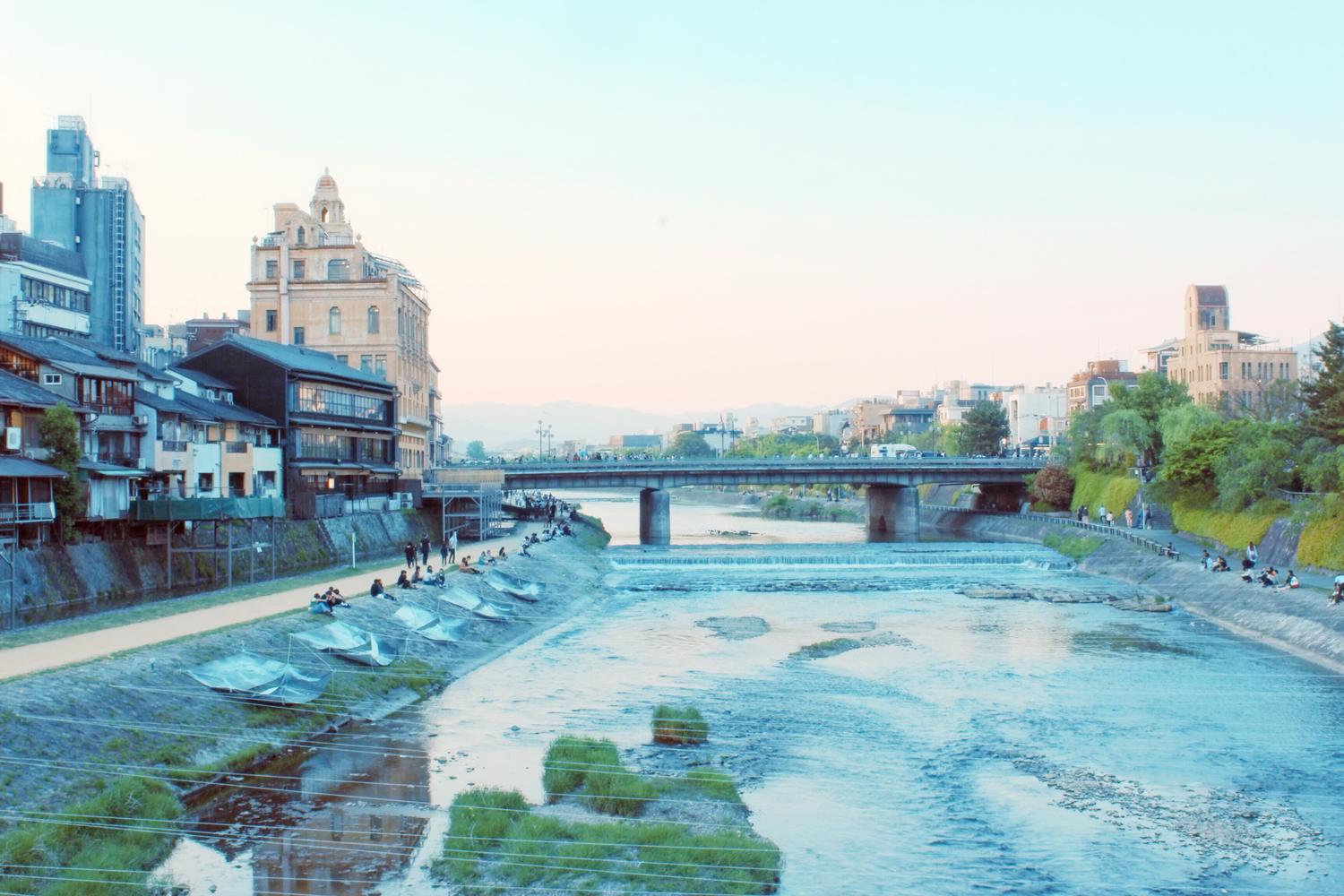 京都河邊「排排坐」潛規則！外地人常犯錯「鴨川等間隔法則」