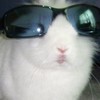 𝐫𝐢𝐫𝐢𝐢 | 選物代購🐰