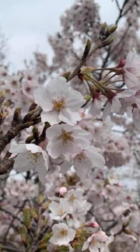 看護師の愚痴や不満など