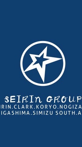 ハイスクールイレブン星琳グループ
