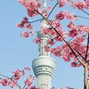 大榮旅遊找恩寧-好康分享清倉特惠