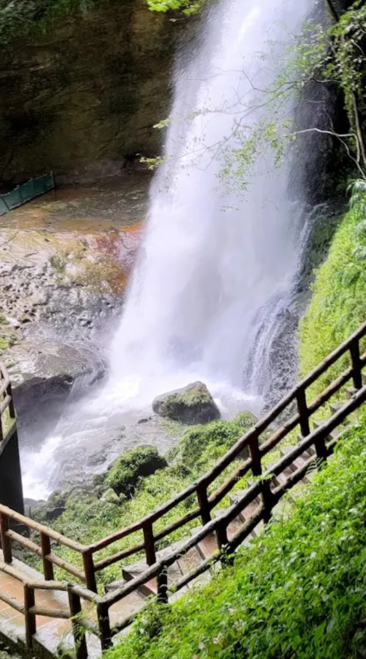 2026/2/1💞杉林溪兩日遊